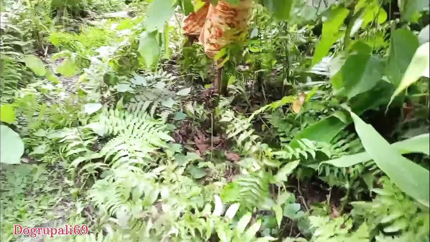 today bhabhi Fuck in the jungle with