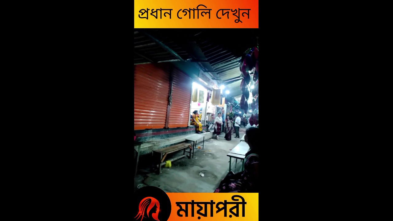 দৌলতদিয়া পল্লীর সব অলিগলি দেখুন Daulatdia Polli New Video 2025