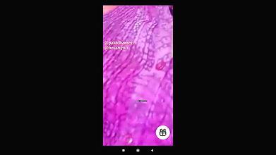 Pk youtuber Multani family collection – 1