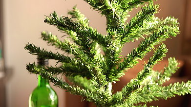 Sudeepa 9